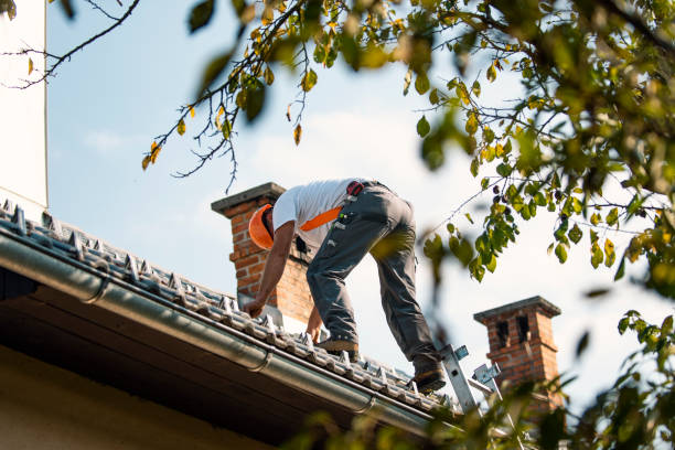 Best Roof Leak Repair  in Everett, MA