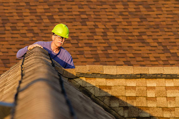 Best Roof Gutter Cleaning  in Everett, MA